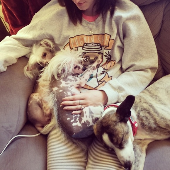 Meet your Posher, Shelby - Picture 2 of 4